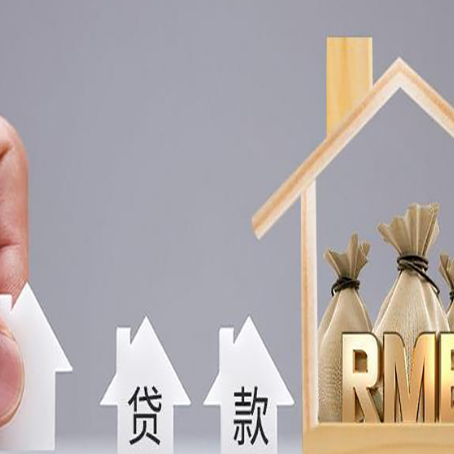 东台贷款中介公司新渝启服怎么样
